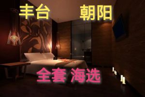 丰台朝阳莞式 水磨 大选场 4.14 提